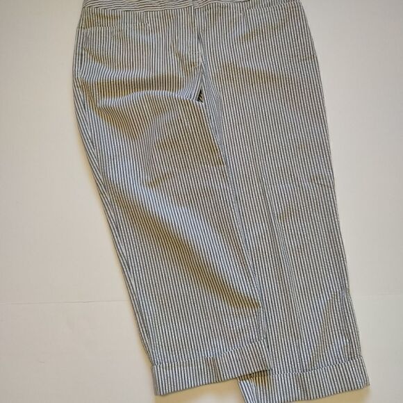 Plus Size Liz Claiborne / Audra Capris - Picture 1 of 6